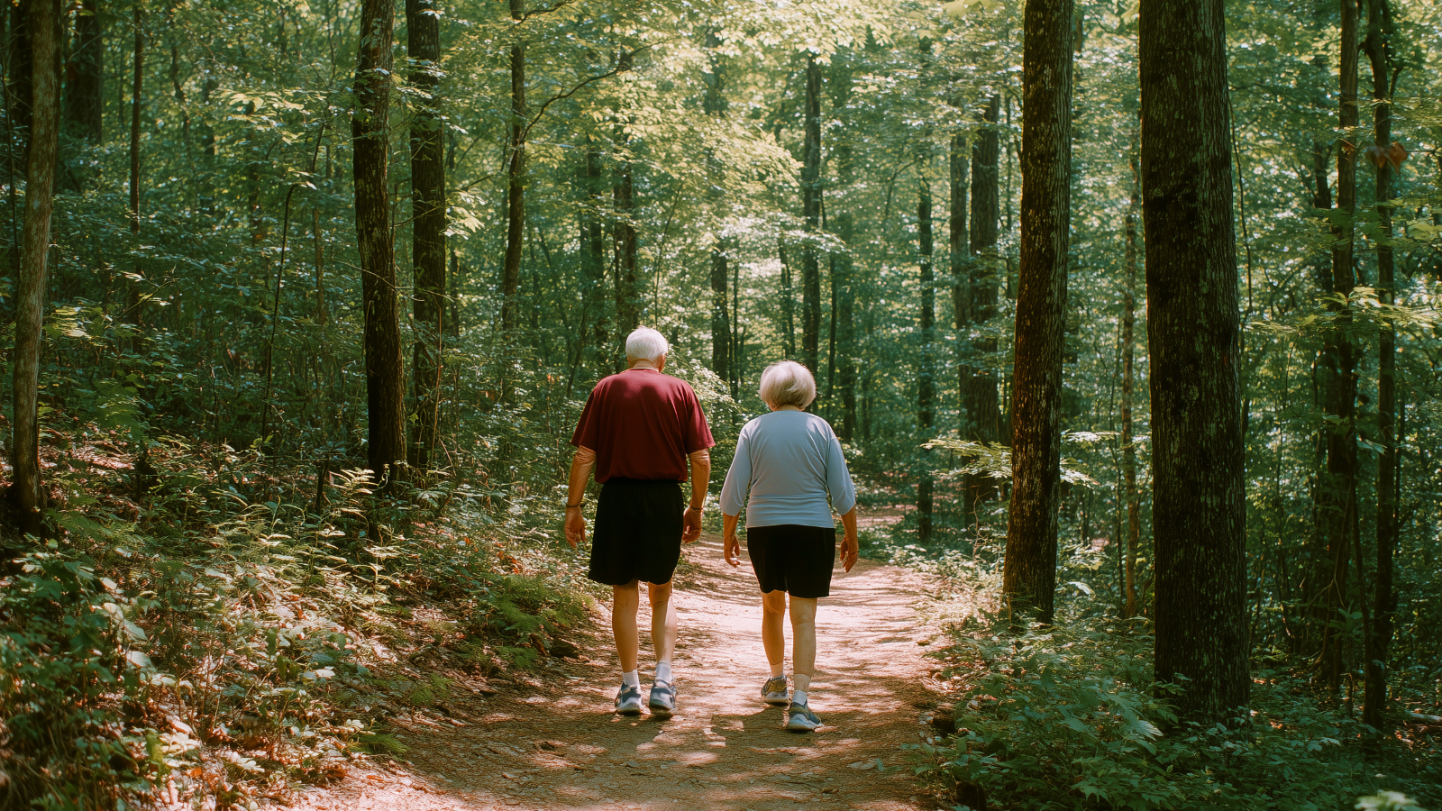 טיולים לפנויים פנויות 50+